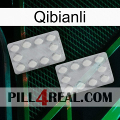 Qibianli 17